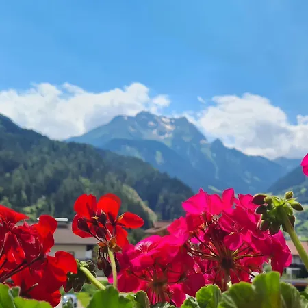 ゲストハウス Scheulinghof