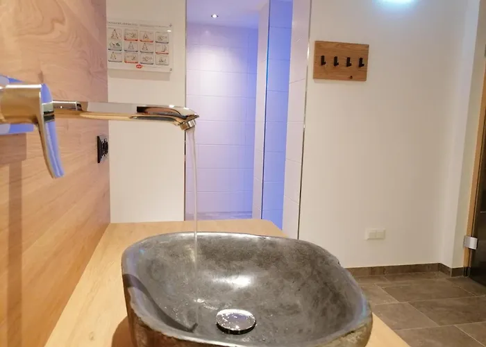 Scheulinghof Πανσιόν Mayrhofen