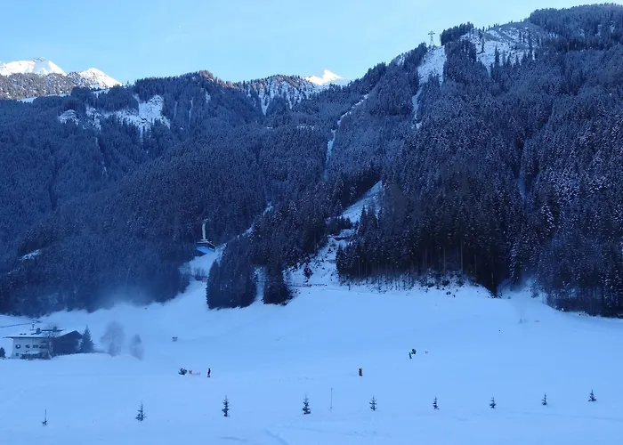 Scheulinghof Πανσιόν Mayrhofen