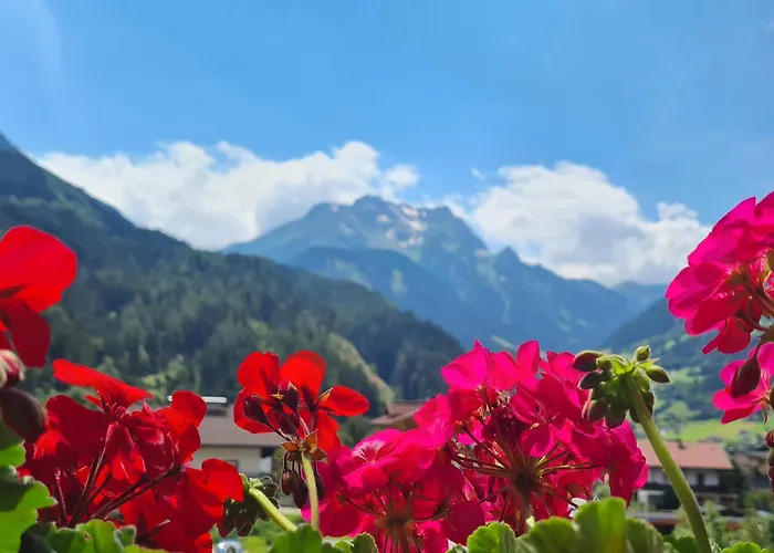 Πανσιόν Scheulinghof