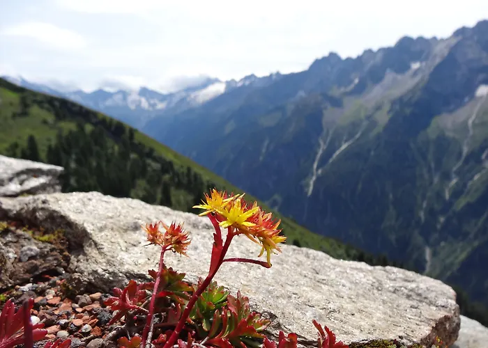 Scheulinghof 3* Mayrhofen
