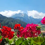 Scheulinghof 3* Майрхофен