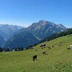 Scheulinghof Майрхофен