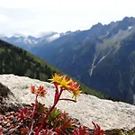 Scheulinghof 3* Майрхофен